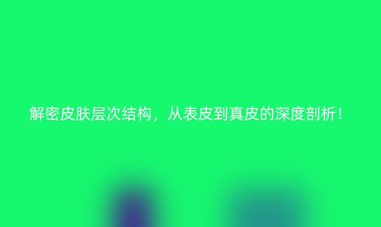 解密皮膚層次結(jié)構(gòu)，從表皮到真皮的深度剖析！